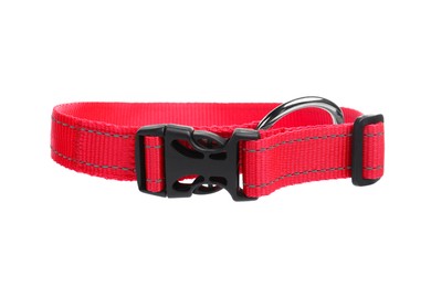 New textile dog collar isolated on white