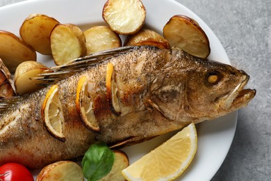 Tasty homemade roasted perch with garnish on grey table, closeup. River fish