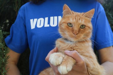 Volunteer with homeless cat in animal shelter, closeup