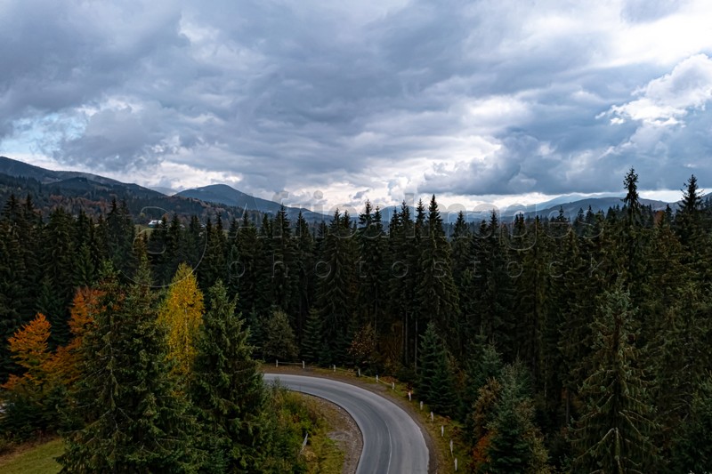 Aerial view of beautiful forest and empty road on autumn day