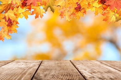 Empty wooden surface and beautiful autumn leaves on blurred background 