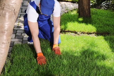 Photo of Gardener in uniform laying grass sod on backyard