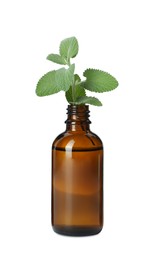 Bottle of essential oil and mint isolated on white