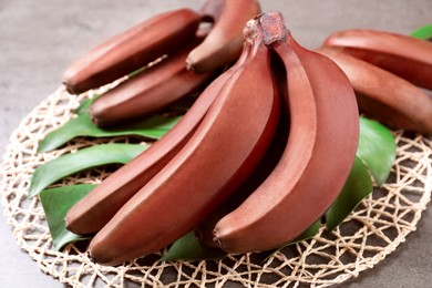 Tasty red baby bananas on grey table, closeup