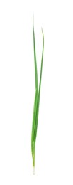 Photo of Fresh green spring onion isolated on white, top view