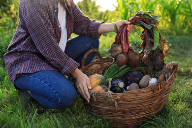 Photo of Woman harvesting different fresh ripe vegetables on farm, closeup