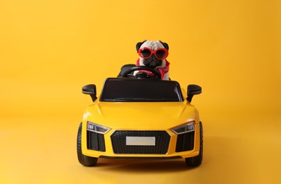 Funny pug dog with sunglasses in toy car on yellow background