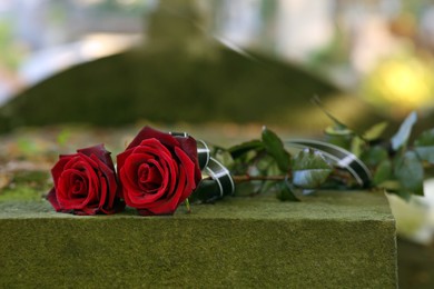 Red roses on grey tombstone outdoors on sunny day. Funeral ceremony