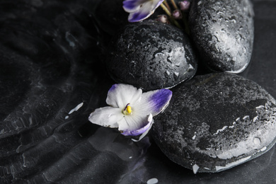 Stones and flowers in water on dark background. Zen lifestyle