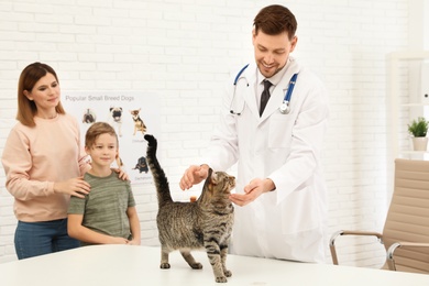 Mother and son with their pet visiting veterinarian in clinic. Doc examining cat