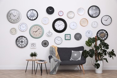 Comfortable furniture, beautiful houseplant and collection of different clocks on white wall in room