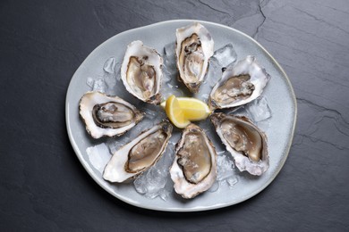 Delicious fresh oysters with lemon slices served on black slate table, top view