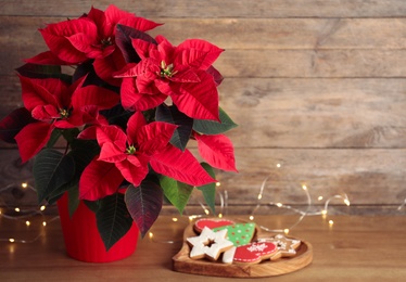 Poinsettia (traditional Christmas flower), cookies and string lights on wooden table. Space for text
