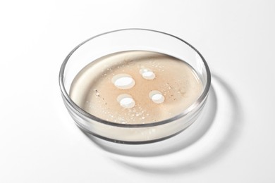 Petri dish with beige liquid on white background