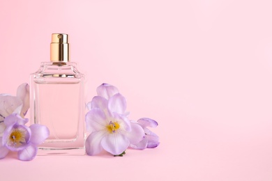 Bottle of perfume with freesia flowers on pink background, space for text