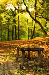 Wooden bench, pathway, fallen leaves and trees in beautiful park on autumn day