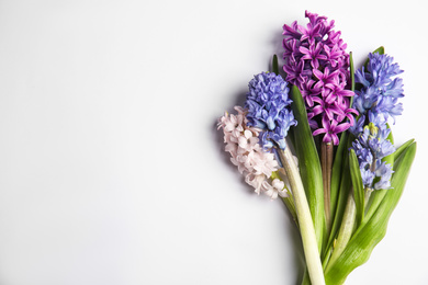 Beautiful spring hyacinth flowers on white background, top view. Space for text