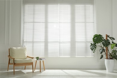 Cosy armchair and houseplant near large window with blinds in spacious room. Interior design