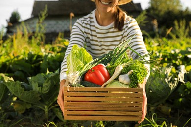 Woman harvesting different fresh ripe vegetables on farm, closeup