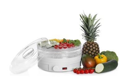 Modern dehydrator machine with different fruits and vegetables on white background