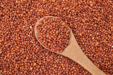 Raw red quinoa seeds with spoon as background, top view