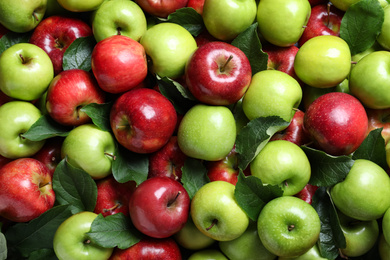Pile of tasty ripe apples with leaves as background, top view