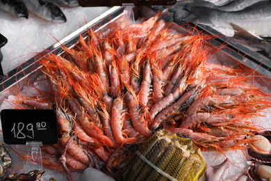 Fresh shrimps and other seafood on ice. Wholesale market