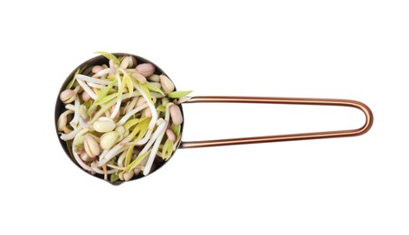 Mung bean sprouts in scoop isolated on white, top view