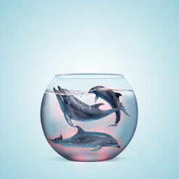Dolphins in glass aquarium on light blue background. Anti-Captivity Campaign
