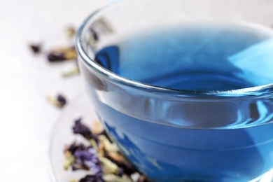 Glass cup of organic blue Anchan, closeup. Herbal tea