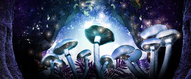 Fantasy world. Mushrooms with magic lights in enchanted forest, banner design