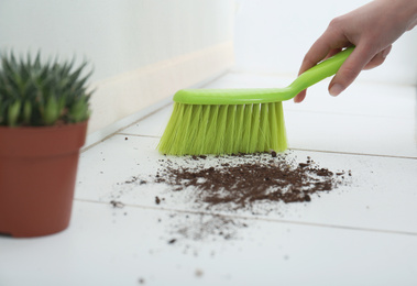 Woman sweeping away scattered soil from window sill with brush, closeup