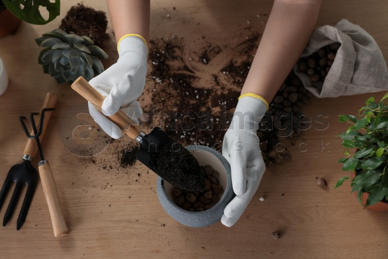 Woman filling flowerpot with soil at wooden table, above view. Transplanting houseplant