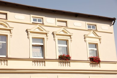 Photo of Windows of beautiful building decorated with blooming flowers outdoors