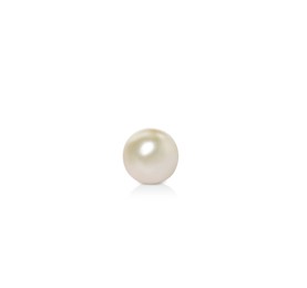 One beautiful oyster pearl on white background