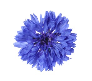 Photo of Beautiful blooming blue cornflower isolated on white, top view