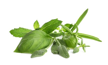 Various fresh aromatic herbs on white background