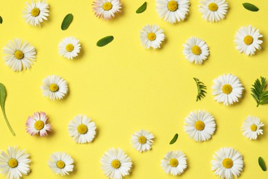 Frame of daisy flowers and leaves on yellow background, flat lay. Space for text