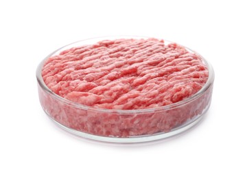 Petri dish with raw minced cultured meat on white background