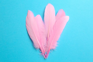 Beautiful pink feathers on light blue background, top view