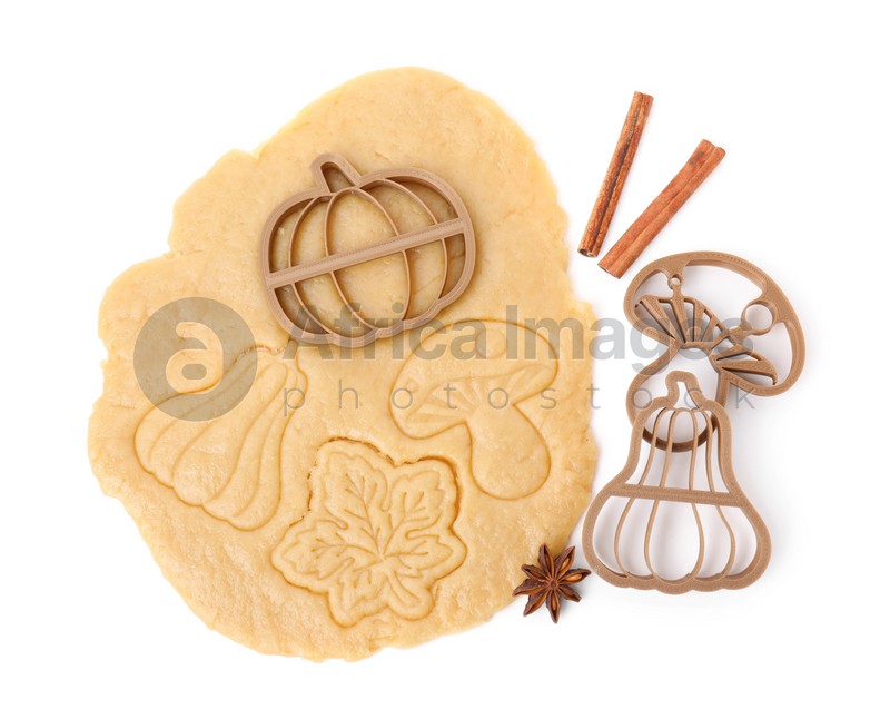 Photo of Cookie cutters, spices and dough on white background, top view