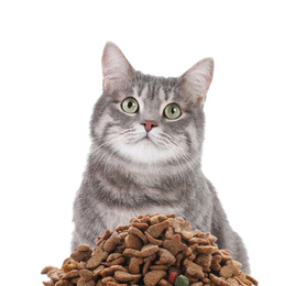 Cute gray tabby cat and pile of dry food on white background. Lovely pet