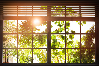 Sun shining through window with blinds in morning 