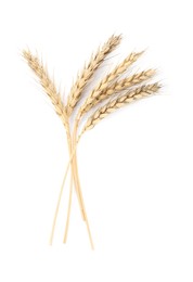 Ears of wheat on white background. Cereal plant