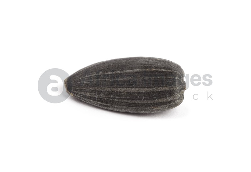 Photo of Raw organic sunflower seed isolated on white
