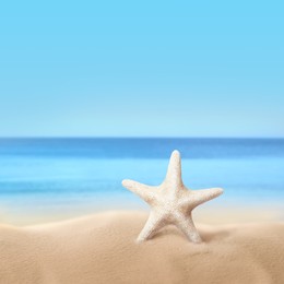 Beautiful sea star on sandy beach near ocean 