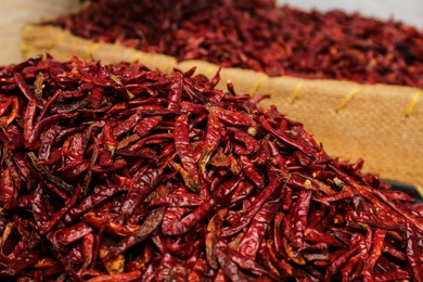 Pile of spicy dried red chili peppers at market