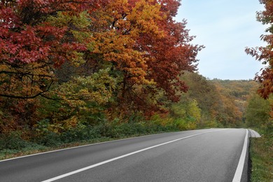 Beautiful view of asphalt highway without transport near autumn forest