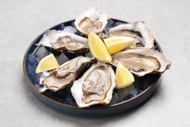 Delicious fresh oysters with lemon slices on light grey table