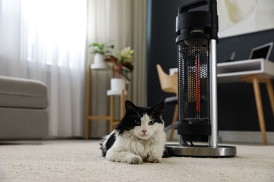 Cat near modern electric halogen heater on floor in room